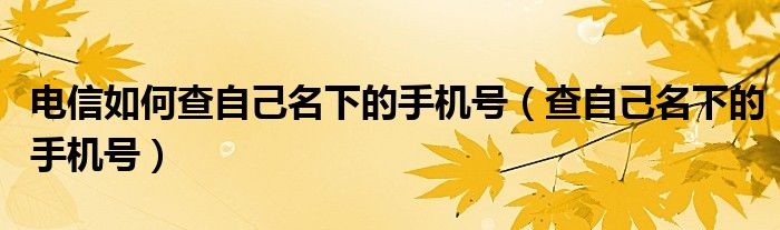電信如何查自己名下的手機號（查自己名下的手機號）