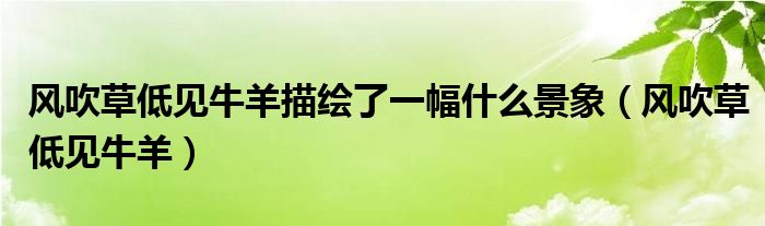 風(fēng)吹草低見牛羊描繪了一幅什么景象（風(fēng)吹草低見牛羊）