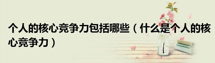 個人的核心競爭力包括哪些（什么是個人的核心競爭力）