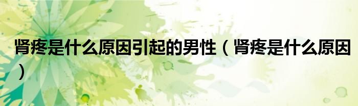 腎疼是什么原因引起的男性（腎疼是什么原因）