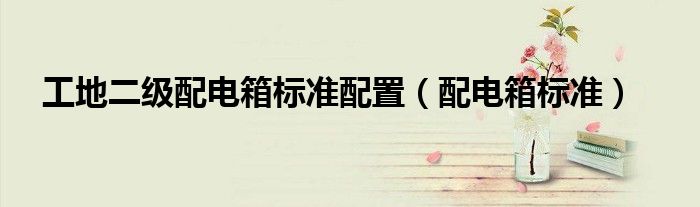 工地二級配電箱標準配置（配電箱標準）
