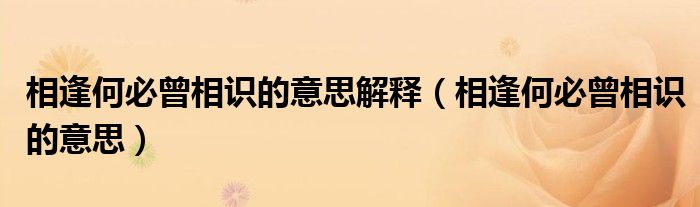 相逢何必曾相識的意思解釋（相逢何必曾相識的意思）