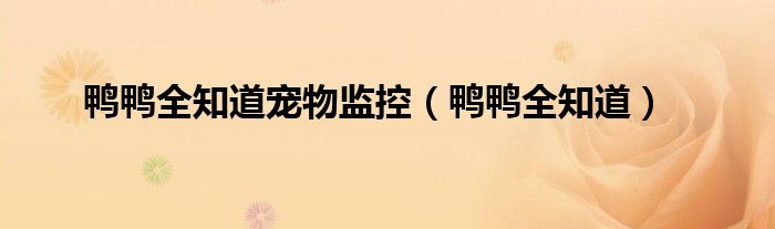 鴨鴨全知道寵物監(jiān)控（鴨鴨全知道）