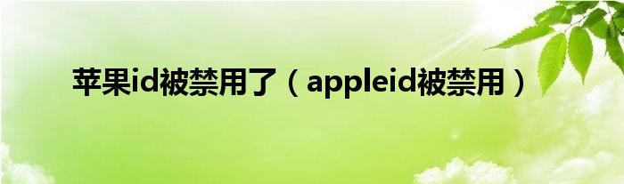 蘋果id被禁用了（appleid被禁用）