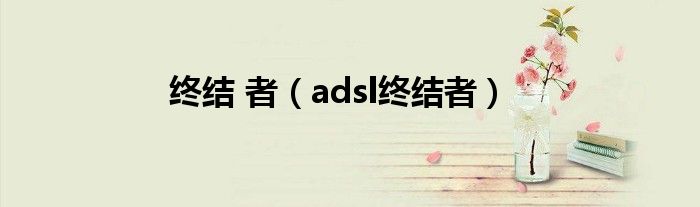 終結(jié) 者（adsl終結(jié)者）