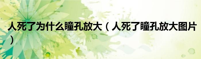 人死了為什么瞳孔放大（人死了瞳孔放大圖片）
