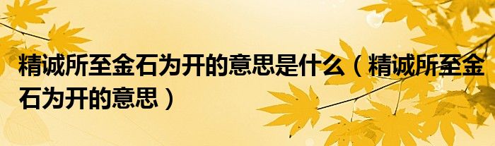 精誠(chéng)所至金石為開(kāi)的意思是什么（精誠(chéng)所至金石為開(kāi)的意思）