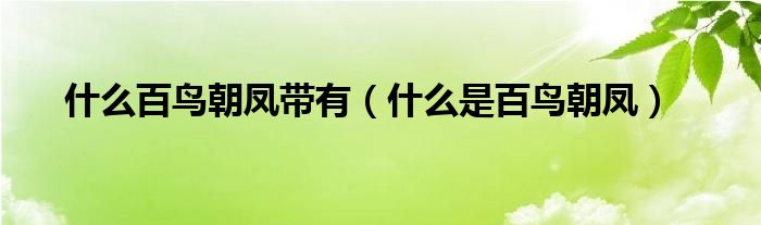 什么百鳥朝鳳帶有（什么是百鳥朝鳳）