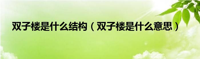 雙子樓是什么結構（雙子樓是什么意思）