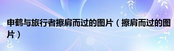 申鶴與旅行者擦肩而過的圖片（擦肩而過的圖片）