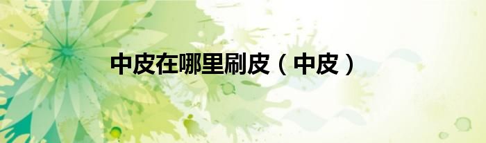 中皮在哪里刷皮（中皮）