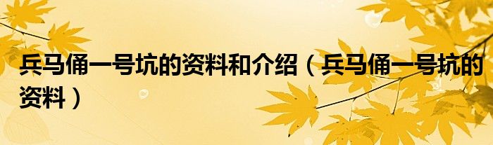 兵馬俑一號(hào)坑的資料和介紹（兵馬俑一號(hào)坑的資料）