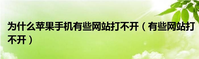 為什么蘋果手機(jī)有些網(wǎng)站打不開（有些網(wǎng)站打不開）