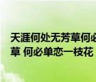 天涯何處無(wú)芳草何必單戀一枝花出自哪首詩(shī)（天涯何處無(wú)芳草 何必單戀一枝花 下一句 hellip）