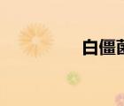 白僵菌哪里有賣（白僵）
