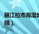 麗江拉市海濕地公園打卡（麗江拉市海濕地公園）