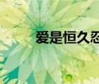 愛是恒久忍耐又有恩慈愛是不嫉妒