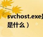 svchost.exe是什么占用u盤（svchost exe是什么）