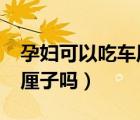 孕婦可以吃車?yán)遄訂?孕中期（孕婦可以吃車?yán)遄訂幔?/>
                                    </a>
                                                </div>
                                    <div   id=