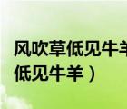 風(fēng)吹草低見牛羊描繪了一幅什么景象（風(fēng)吹草低見牛羊）
