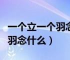 一個(gè)立一個(gè)羽念什么五筆怎么打（一個(gè)立一個(gè)羽念什么）