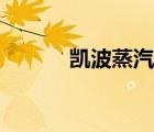凱波蒸汽電熨斗說(shuō)明書（凱波）