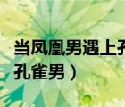 當(dāng)鳳凰男遇上孔雀男在線閱讀（當(dāng)鳳凰男遇上孔雀男）