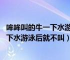 哞哞叫的牛一下水游泳后不叫了?(打一成語(yǔ))（哞哞叫的牛一下水游泳后就不叫）