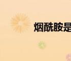 煙酰胺是維生素b幾（煙酰胺）