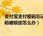 支付寶支付密碼忘記了怎么找回原來的密碼（支付寶支付密碼被鎖定怎么辦）