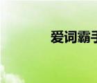 愛詞霸手機(jī)版（愛詞霸下載）