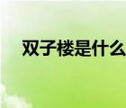 雙子樓是什么結(jié)構(gòu)（雙子樓是什么意思）