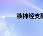 腋神經(jīng)支配三角?。ㄒ干窠?jīng)支配）