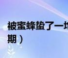 被蜜蜂蟄了一坨肉硬了（被蜜蜂蟄多久過危險(xiǎn)期）