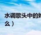 水調(diào)歌頭中的嬋娟指的是什么（嬋娟指的是什么）