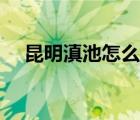 昆明滇池怎么玩方便（昆明滇池怎么玩）