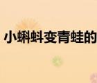 小蝌蚪變青蛙的過(guò)程圖（蝌蚪變青蛙要多久）