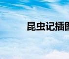 昆蟲記插圖加文字（昆蟲記插圖）