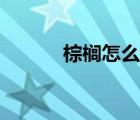 棕櫚怎么讀拼音（棕櫚怎么讀）