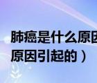 肺癌是什么原因引起的能治好嗎（肺癌是什么原因引起的）