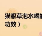 貓眼草泡水喝的功效與禁忌（貓眼草泡水喝的功效）