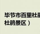 畢節(jié)市百里杜鵑景區(qū)門票多少錢（畢節(jié)市百里杜鵑景區(qū)）