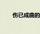 傷已成曲的吉他彈唱譜（傷已成曲）
