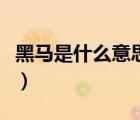 黑馬是什么意思比喻什么人（黑馬是什么意思）
