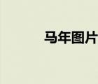 馬年圖片大全大圖（馬年圖片）