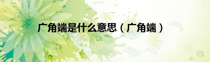 廣角端是什么意思（廣角端）