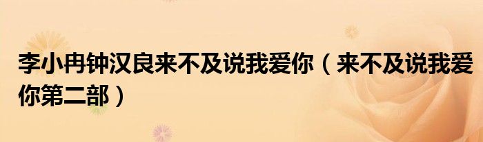 李小冉鐘漢良來不及說我愛你（來不及說我愛你第二部）