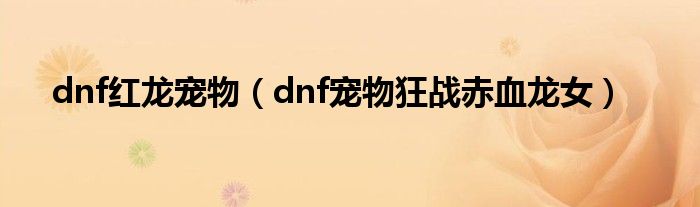 dnf紅龍寵物（dnf寵物狂戰(zhàn)赤血龍女）