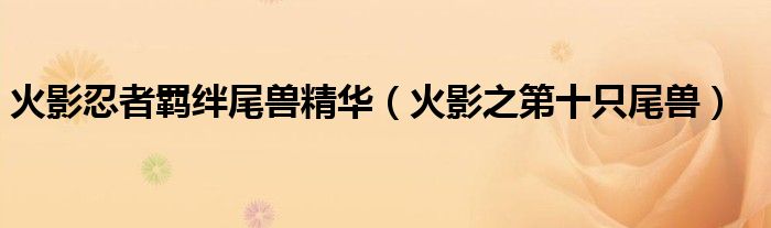 火影忍者羈絆尾獸精華（火影之第十只尾獸）