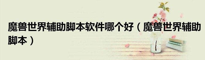 魔獸世界輔助腳本軟件哪個(gè)好（魔獸世界輔助腳本）